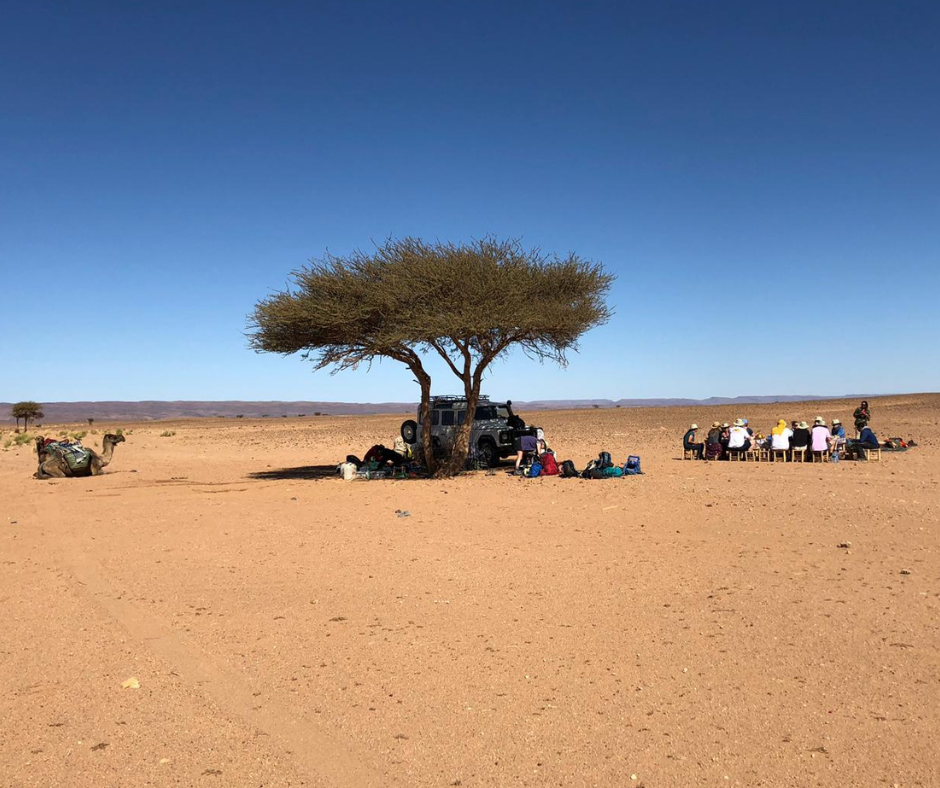 Sahara Trek
