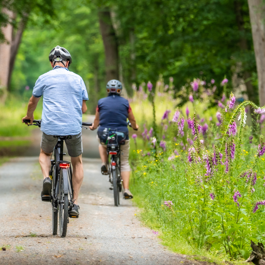 KYWT square (1) A pair of cyclists cycling away along a flat path lined with grasses and wild flowers.
