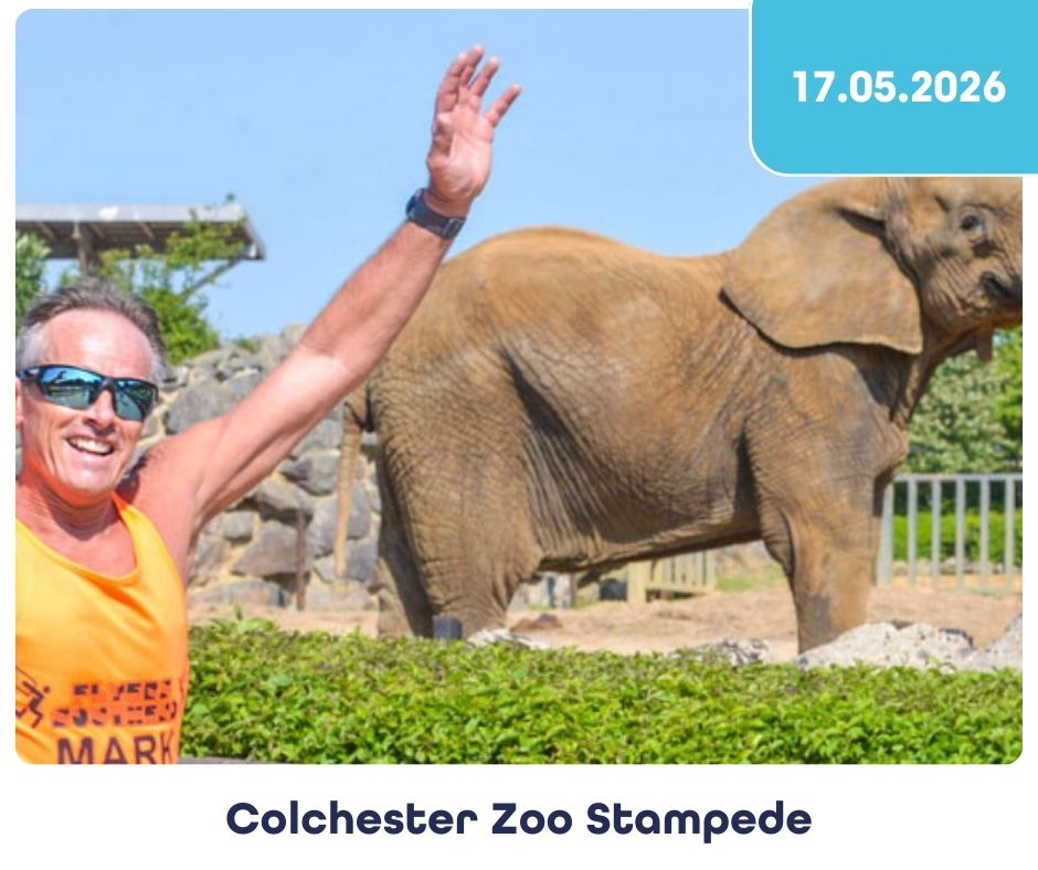 Colchester Zoo Stampede