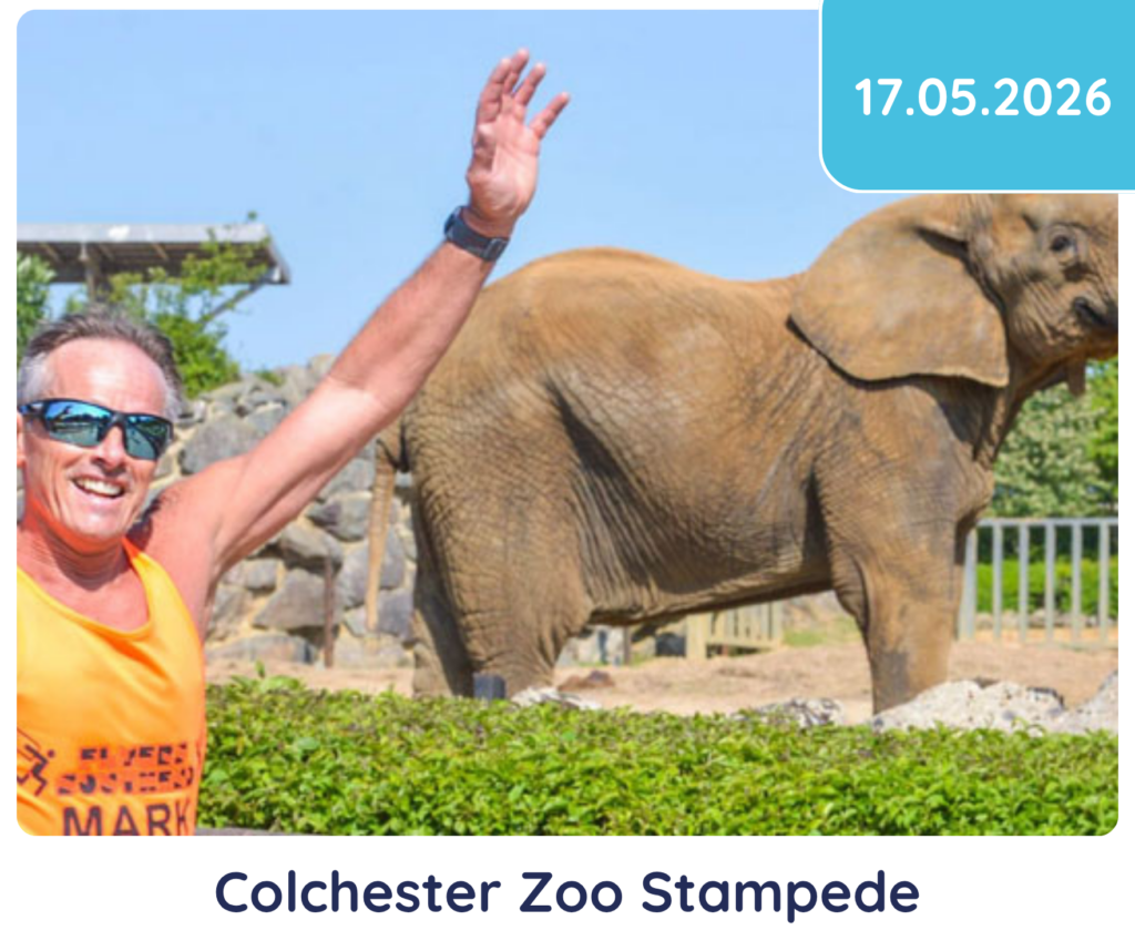 Colchester Zoo Stampede